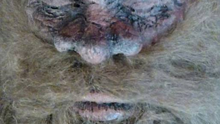 Is this really the face of Bigfoot?